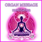 Organ Message Meditation