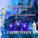 Enlightening Evolution – New Support System Meditation