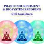Pranic Nourishment Biosystem Recoding Meditation